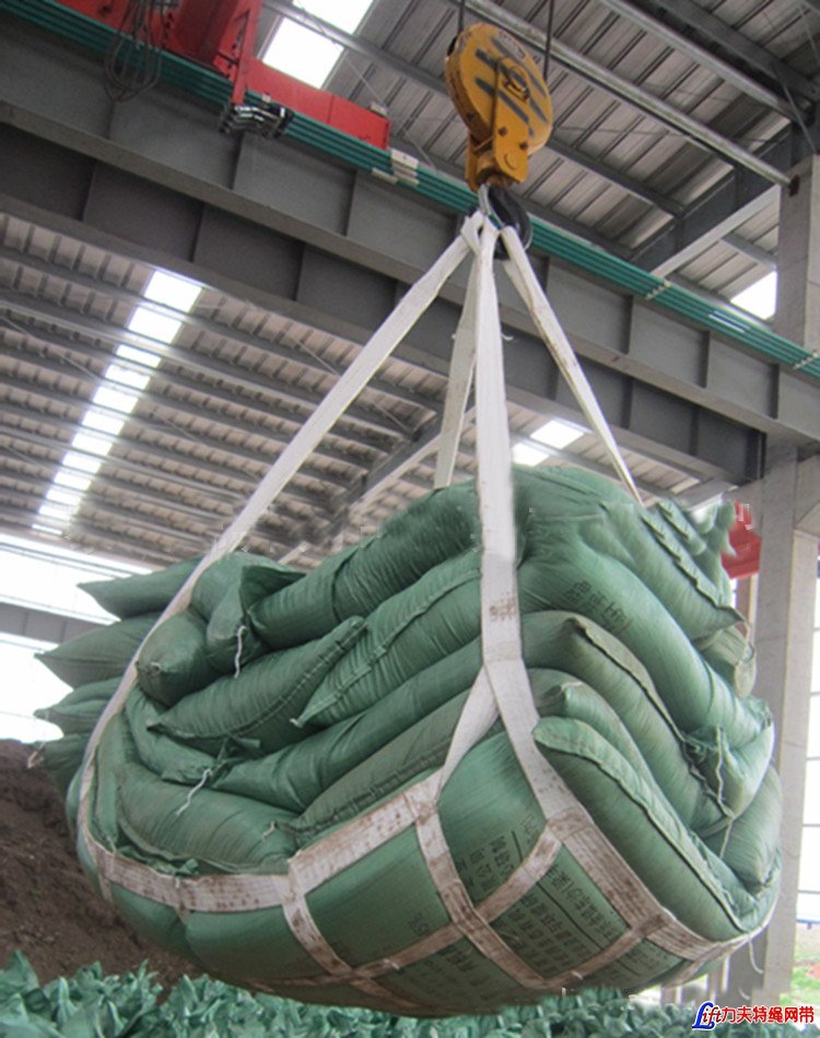 Webbing Cargo Lifting Net-Heavy Duty Safety Polyester Car Container Webbing Lifting Cargo Net