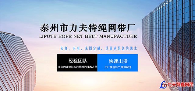 High Strength High Temperature Resistant Kevlar Lifting Rope Sling-Nylon  Rope-China Lift Sling Net Belt Factory